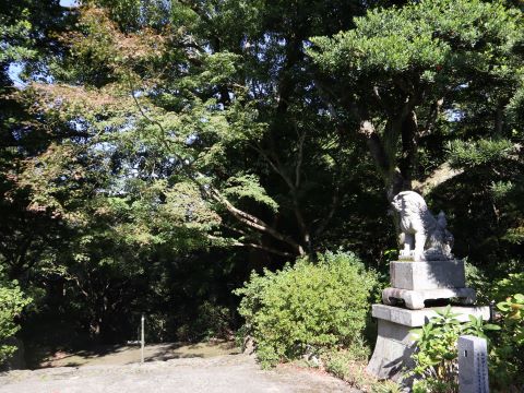 徳栄寺の狛犬と木々