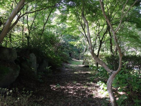 徳栄寺内の木々
