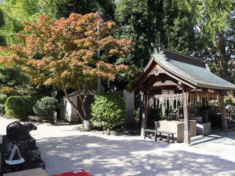 紅葉八幡宮内の紅葉