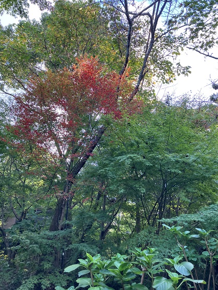 徳栄寺