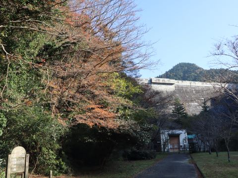紅葉とダム提体