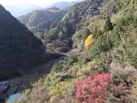 ダムから望む紅葉