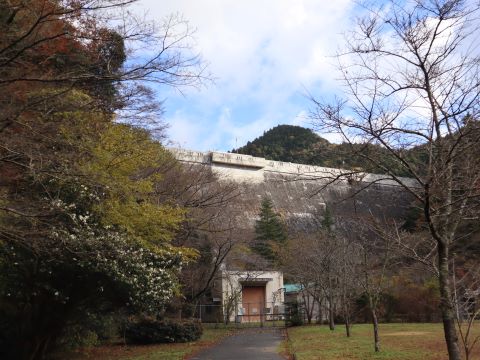 紅葉とダム提体