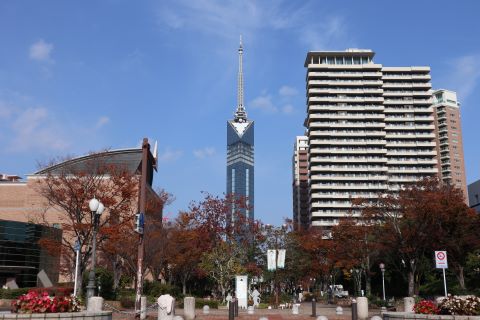 福岡タワーと紅葉