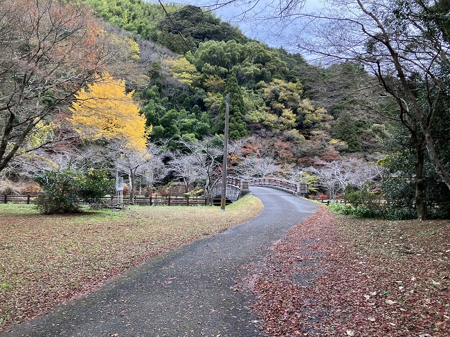 曲渕ダムパーク