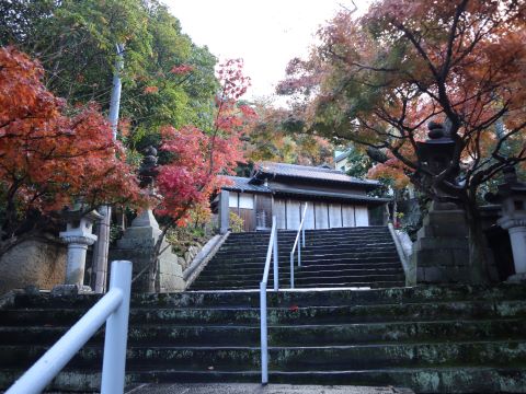 紅葉八幡宮階段