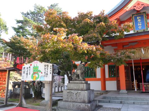 紅葉八幡宮の紅葉１