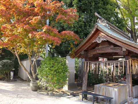 紅葉八幡宮の紅葉２