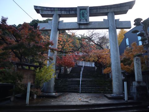 提灯と紅葉