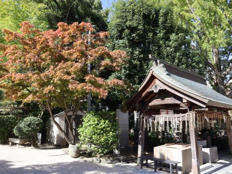 紅葉八幡宮の紅葉２