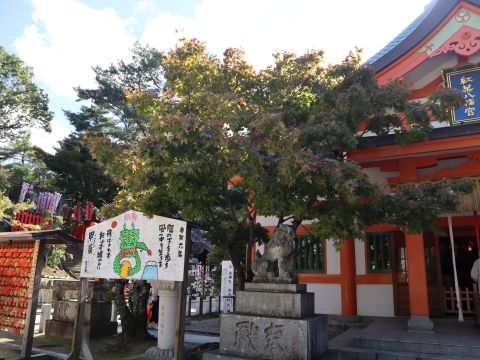 紅葉八幡宮の紅葉３
