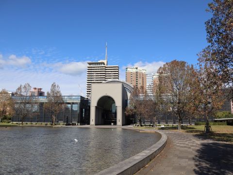 博物館周辺の木々２