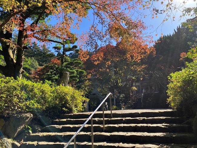 徳栄寺
