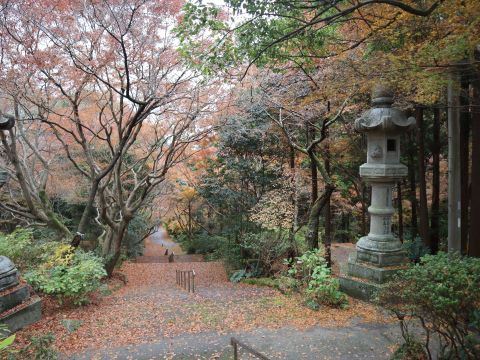 徳栄寺紅葉