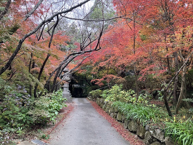 徳栄寺内