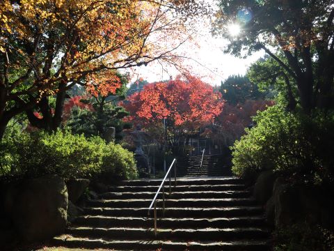 階段と紅葉