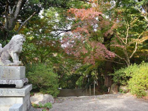 徳栄寺の狛犬と木々２