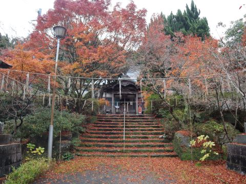 徳栄寺の狛犬と木々２