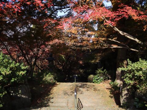 徳栄寺紅葉