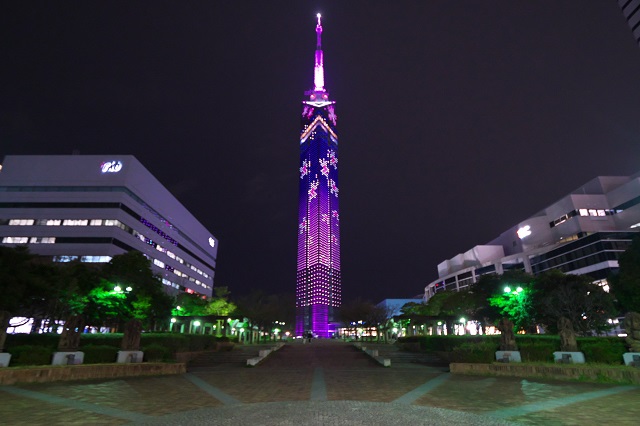 写真：福岡タワー桜イルミネーション