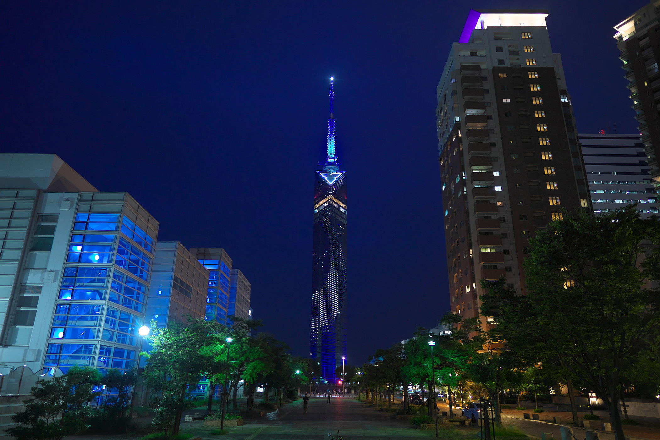 写真：福岡タワー天の川イルミネーション