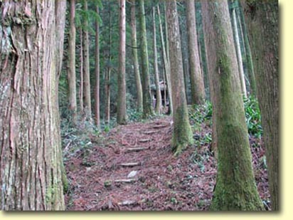 画像：北山神社（３）