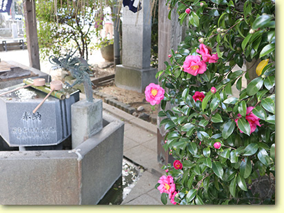 画像：紅葉八幡宮（３）