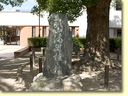画像：西新緑地（１）
