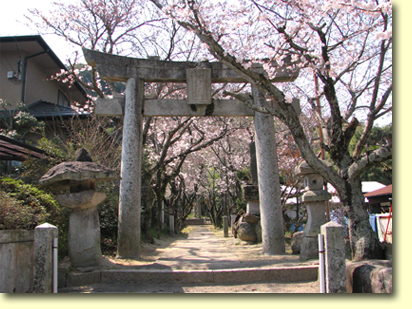 画像：志々岐神社（１）