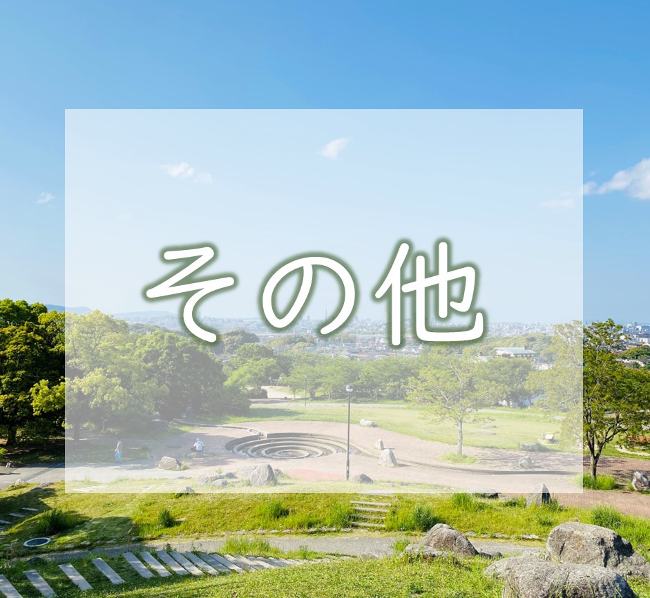 その他