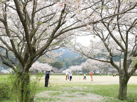グラウンドゴルフを楽しむ人々