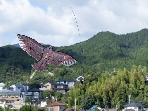 内野の稲田４