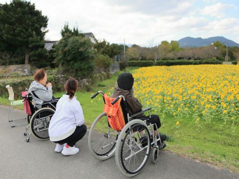 脇山ひまわり畑２