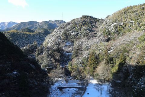 曲渕ダム山肌