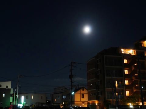 中秋の名月２