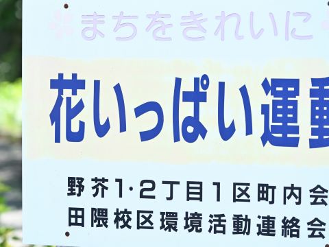 油山川花１