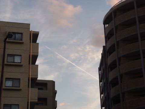 室見川付近の梅雨明け２