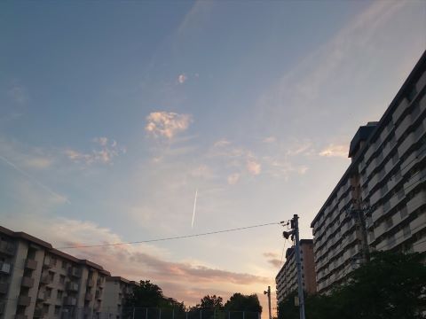 室見川付近の梅雨明け３