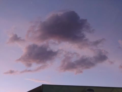室見川の初秋の夕景２