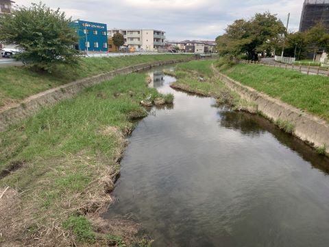 金屑川