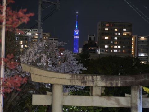 画像:福岡タワー（その4）