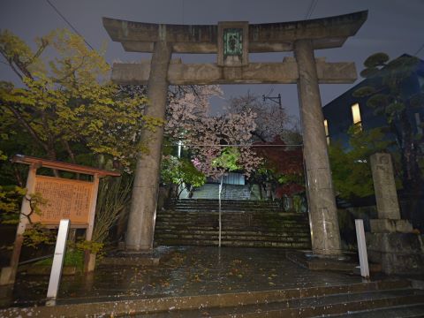 紅葉八幡宮の鳥居