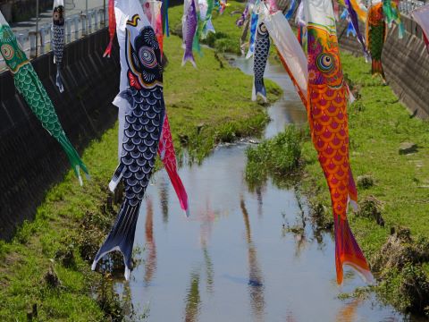 川と鯉のぼり（黒赤）