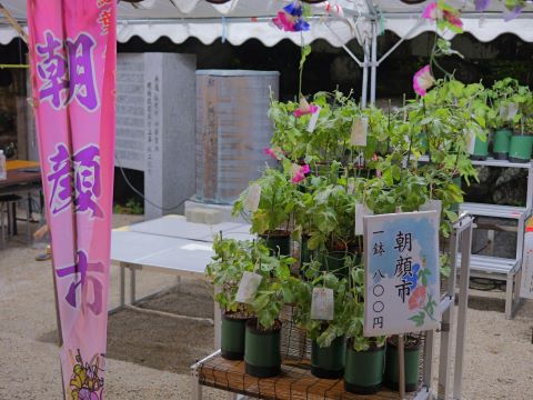 紅葉八幡宮夏祭り５