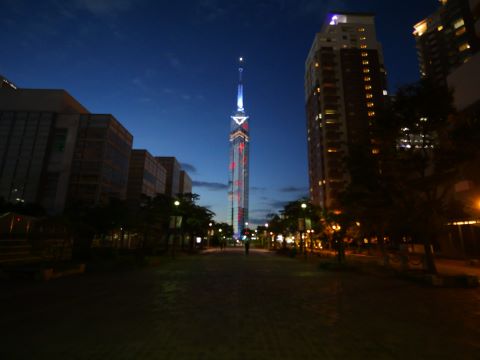 福岡タワーアクアリウムイルミネーション３