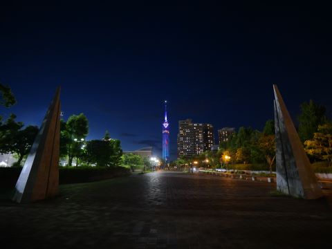福岡タワーアクアリウムイルミネーション６