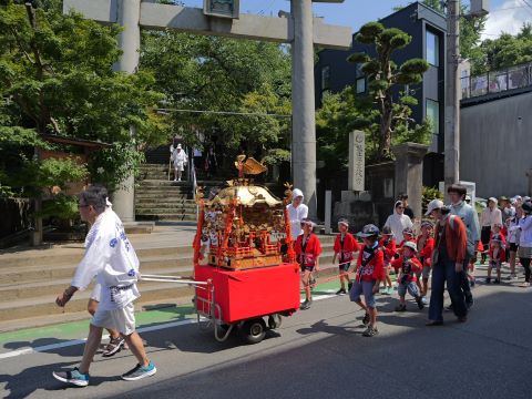 紅葉八幡宮獅子祭り２