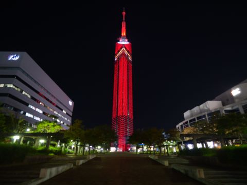 福岡タワー展望の日１