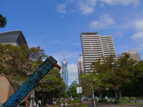 どすこいビーチクリーン６