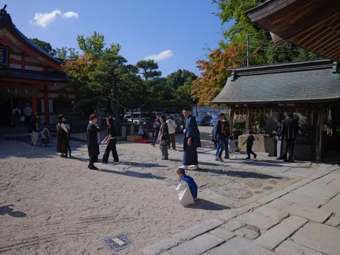 紅葉八幡宮七五三１